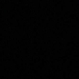 Meet your Posher, Leiliana